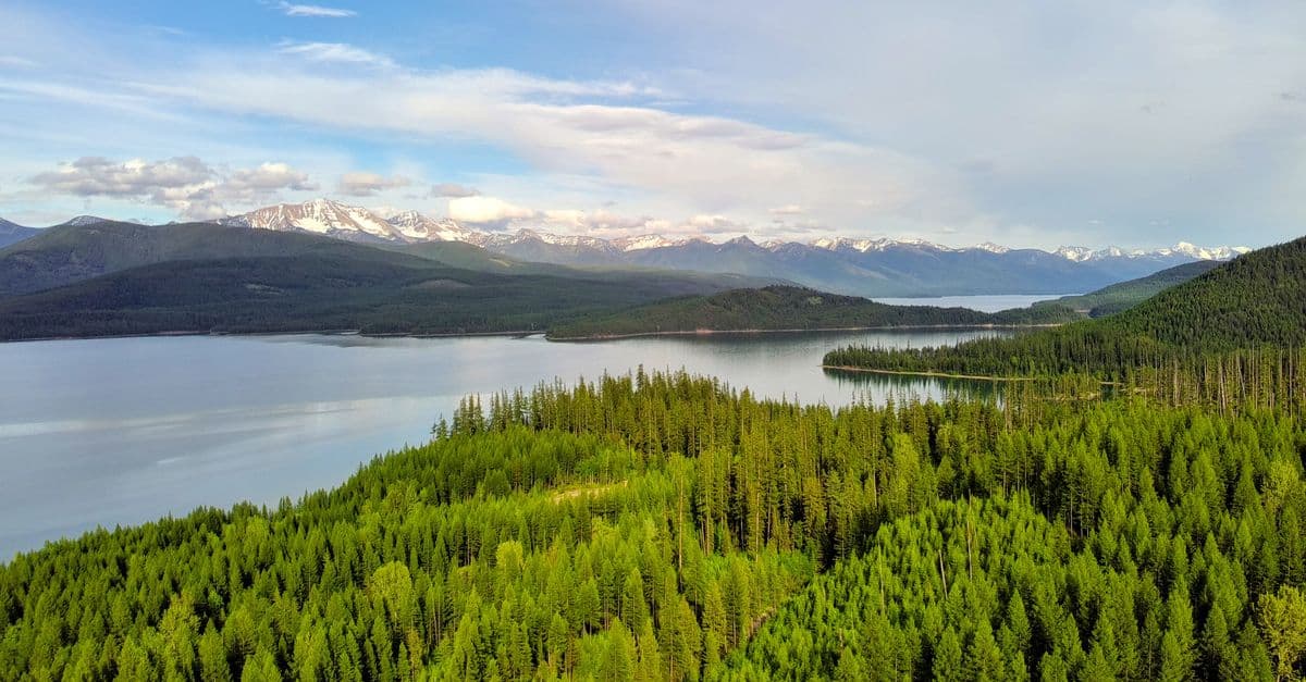 montana