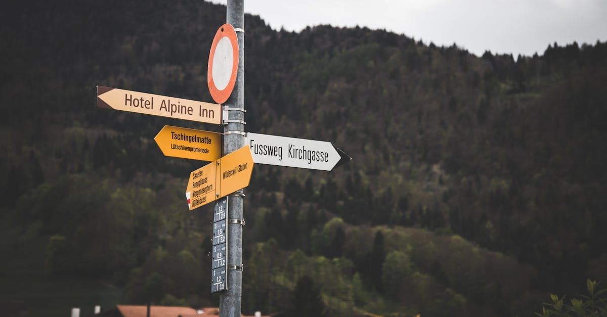 Directional signpost with arrows